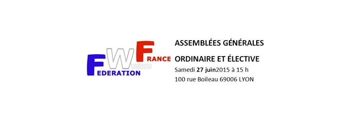 FWF - Fédération Wushu France updated their cover photo.