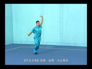 3rd IWUF Taolu - Chang Quan & Gunshu (Chinese)