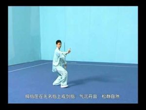 3rd IWUF Taolu - Taiji Quan & Taiji Jian (Chinese)