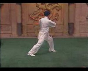 Chen Zhenglei 18 form