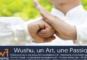 Fédération Wushu France: Hervé Baudoux réélu - Karate Bushido
