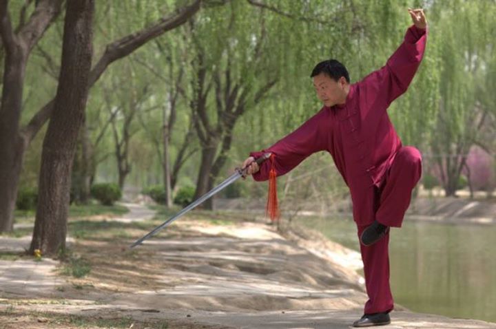 FWF - Fédération Wushu France shared Institut Français de Tai Ji Zhang Dongwu - ...