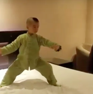 L'enchaînement de Tai chi épatant d'un enfant de 3 ans - Karate Bushido