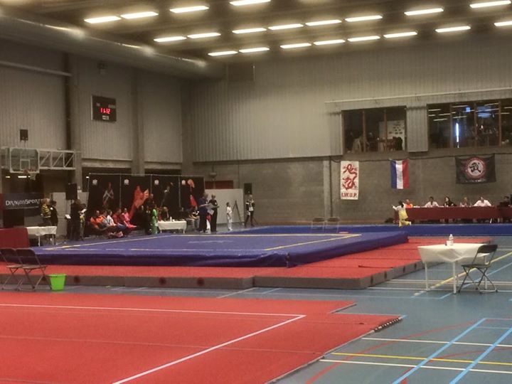 Open de Flandres de Wushu