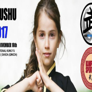 Oslo Wushu Open 2017 - Karate Bushido