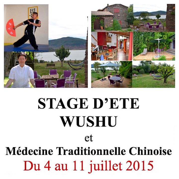 Stage D'été Wushu et Médecine Traditionnelle Chinoise du 04 au 11 juillet ,encad...