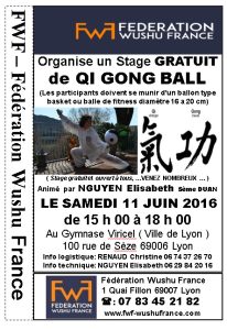 Stage gratuit de Qi Cong Ball à Lyon - Masterfight