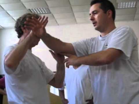 Taiji Quan (Taichi Chuan) style Chen : Exercices de Tuishou