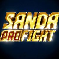 Sanda Profight
