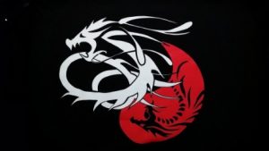 Association Dragons Bussy | Kung Fu, Tai Chi Chuan et Qi Gong