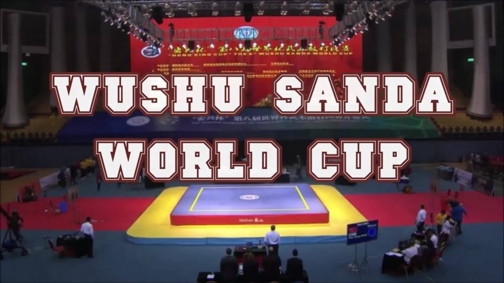 Regarder Wushu Sanda world cup in China
