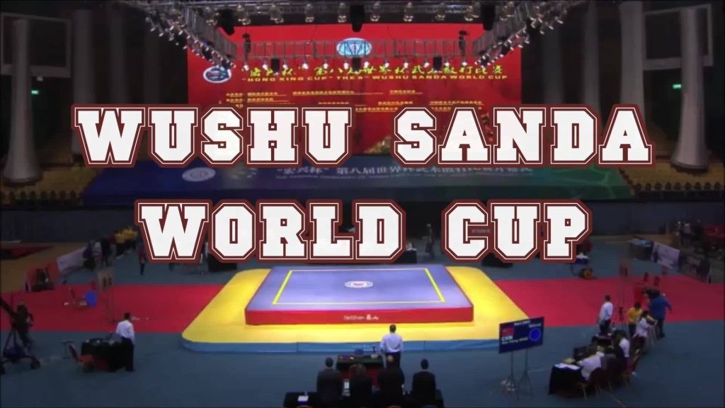 Regarder Wushu Sanda world cup in China