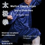 STAGE TAI JI QUAN   Zhang Aijun